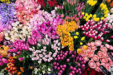 《原子陨落》的剧情DLC《邪恶之岛》公布总览宣传片